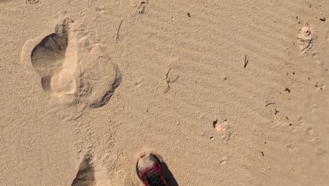 footsteps on sand during a beach walk