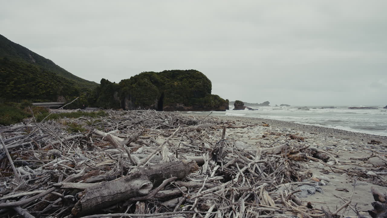 Driftwood-Covered Beach in New Zealand