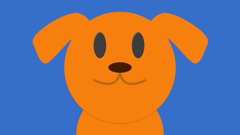cute cartoon close up of dog labrador loop