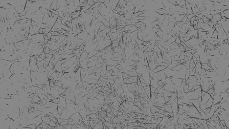 ruido negro sobre textura grunge gris