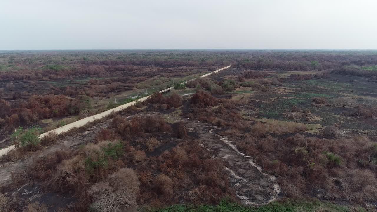 pantanal wildfire bosque quemado vegetación negra toma aérea con carretera transpantaneira