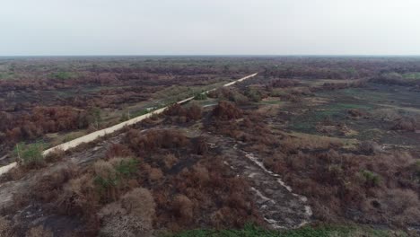 Pantanal-wildfire-burnt-forest-black-vegetation-aerial-shot-with-Transpantaneira-road