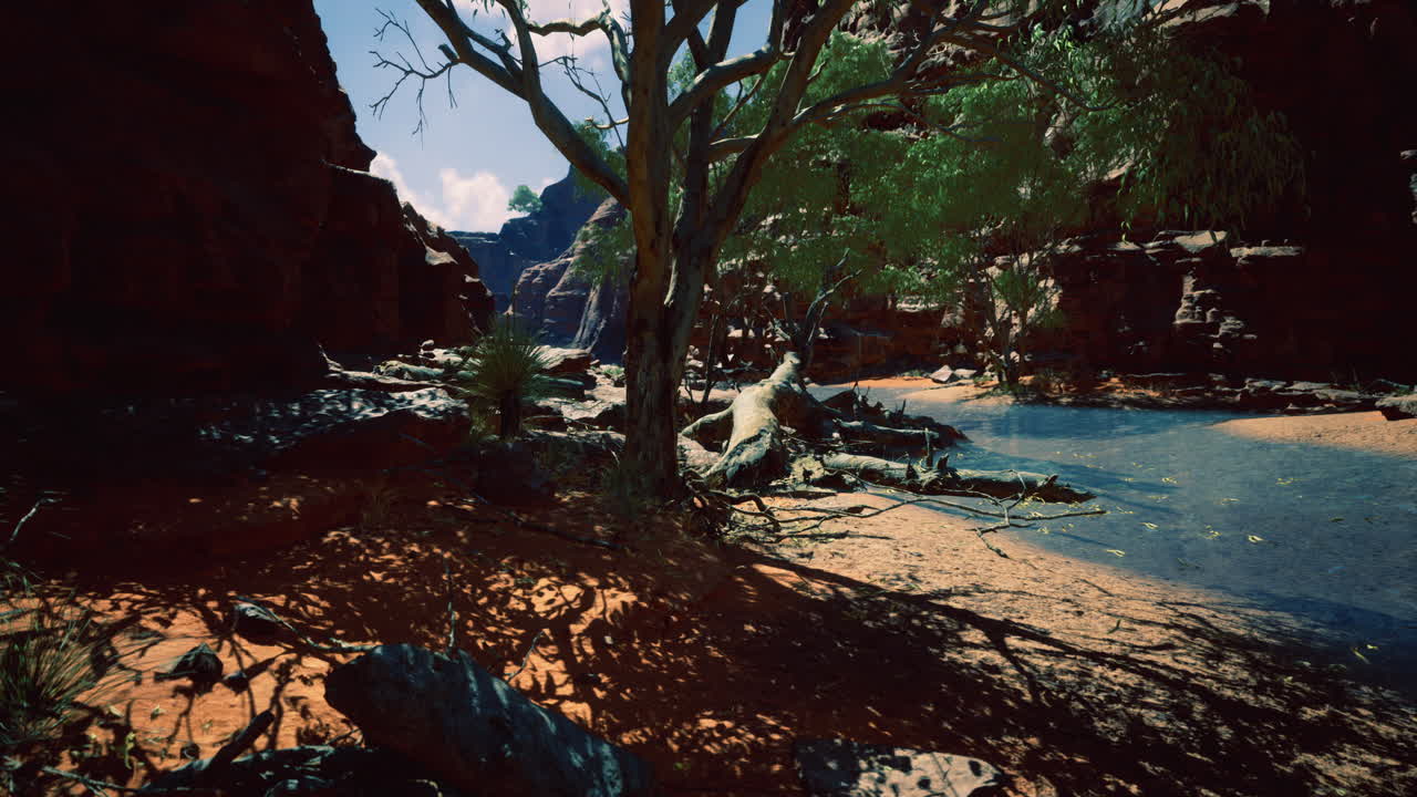 Desert landscape with river and trees under bright sky in warm daylight