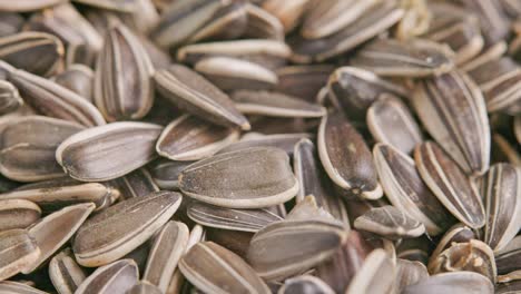 sunflower seeds corrupted with bird seed pantry moths