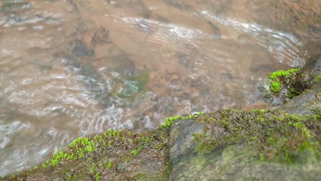 Medite-Imágenes-En-Cámara-Lenta-Tranquilas-Y-Pacíficas-De-Agua-Que-Fluye-De-Un-Arroyo-De-Agua-De-Manantial-De-Montaña-Corriendo-Por-Enormes-Losas-De-Piedra-Arenisca-De-Roca-Con-Musgo-Verde,-Agua-Potable-Cristalina