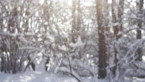 Winterlandschaft-Bei-Schneefall.-Abstrakter-Hintergrund-Für-Winterweihnachten-In-Superzeitlupe.