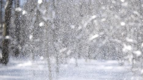 winter landscape during snowfall. winter christmas abstract background on super slow motion.