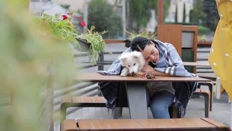 beautiful brunette with a dog uses a laptop and looks at it girl warms a white dog on an autumn day