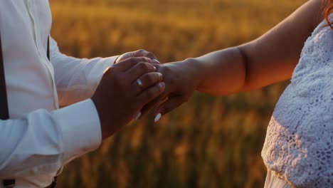 pareja intercambiando anillos en un campo de trigo al atardecer