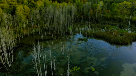 Imágenes-Aéreas-En-El-Estanque-En-Otoño,-árboles-Sin-Hojas,-Tallos-Calvos-De-árboles,-Paisaje-Colorido-Alrededor,-Hermosa-Puesta-De-Sol,-Warmia-Y-Masuria,-Polonia