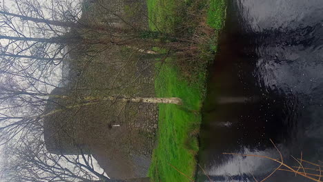 athenry castle