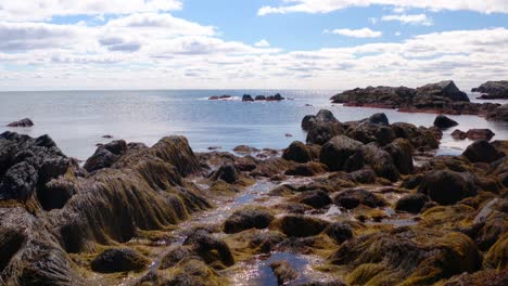 aerial drone shot blue sky calm ocean algae covered rocky coastline newport, ri