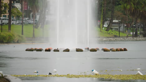 a close-up of the echo park lake fountain in heavy rain