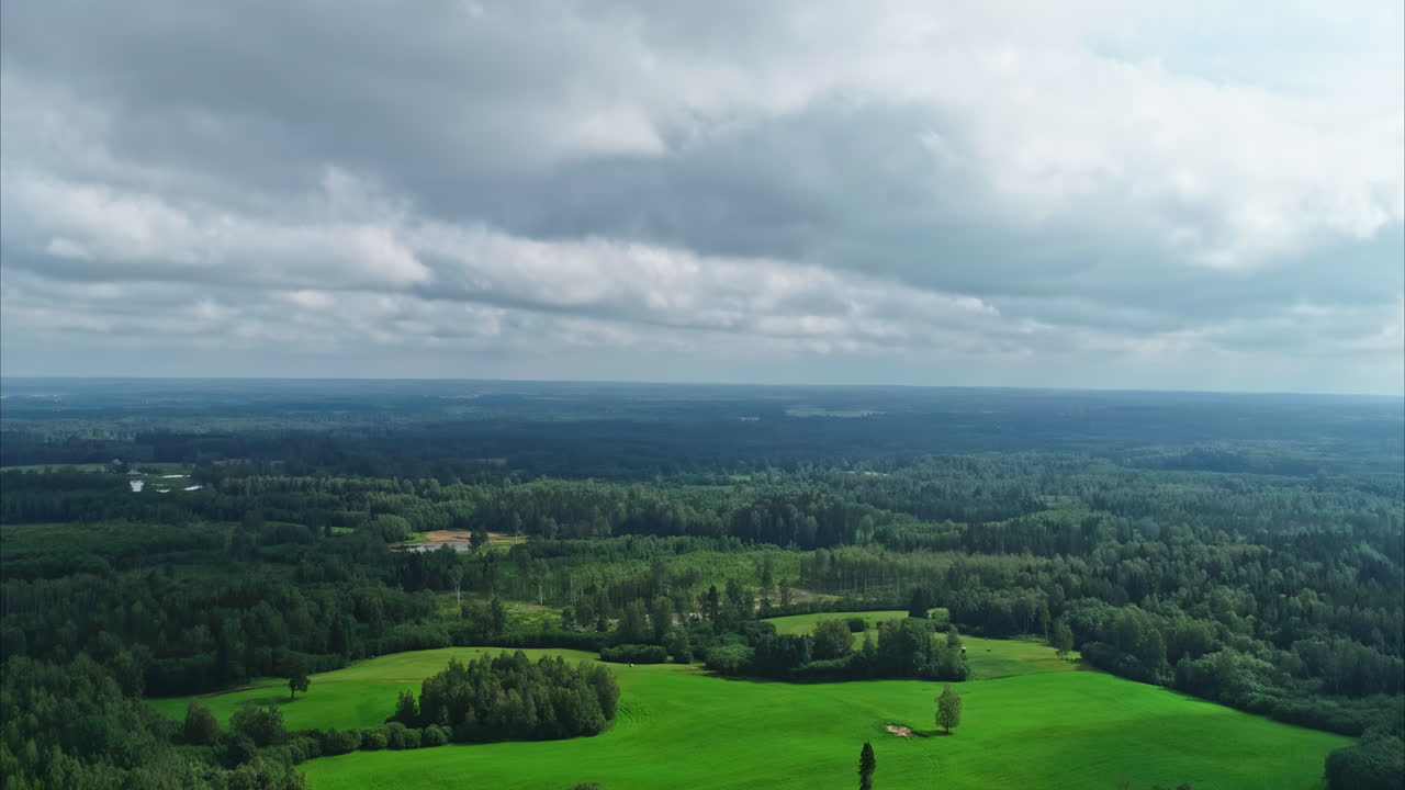 высокий вид с воздуха на зеленый луг, окруженный сосновыми лесами