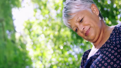 senior woman reading book