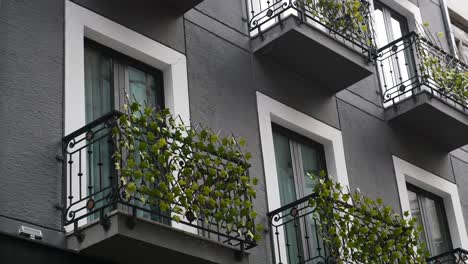 close-up of a modern building with balconies and green plants