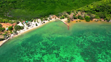 aerial view of a tropical coastline with lush forest and clear green waters