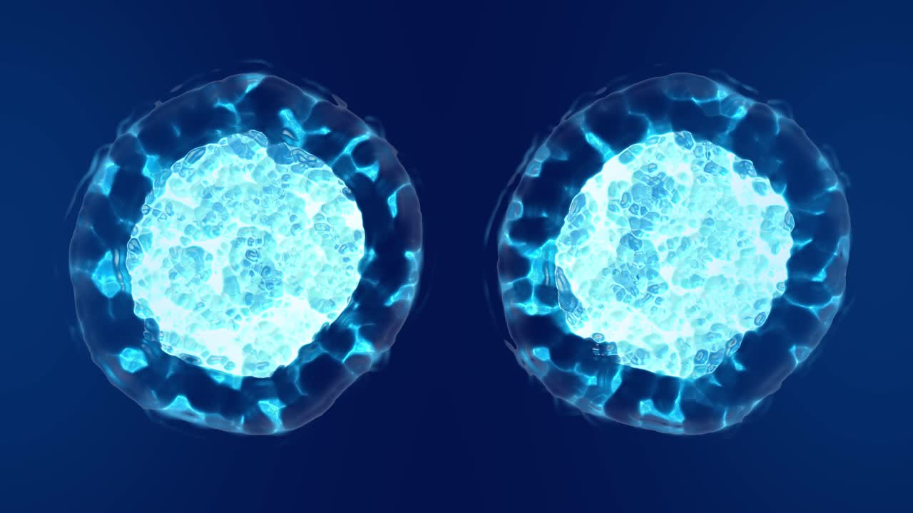 Cell division, Mitosis 3d animation with blue tone