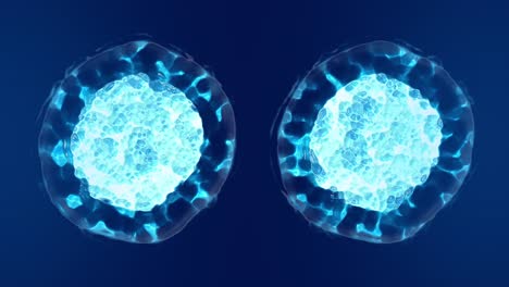 División-Celular,-Mitosis-Animación-3d-Con-Tono-Azul