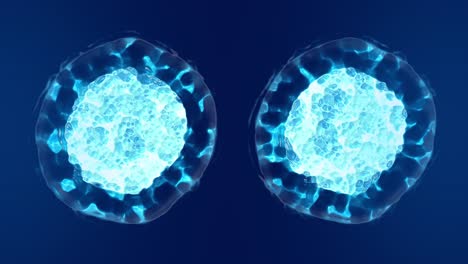 división celular, mitosis animación 3d con tono azul