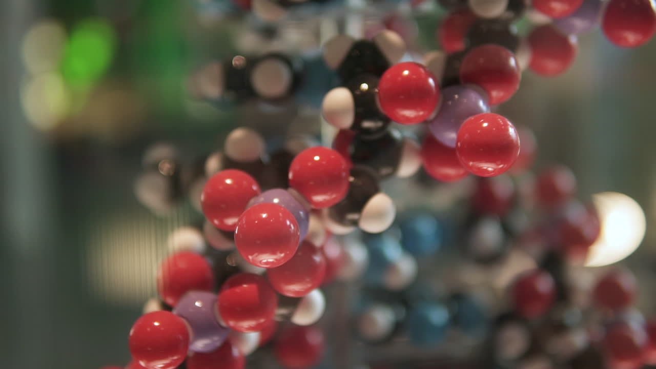 dna 사슬 구조 모델