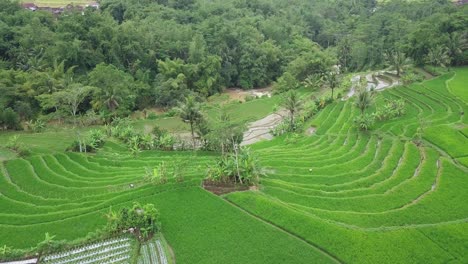 drone video of beautiful rural landscape of indonesia