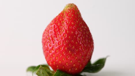 close-up of a fresh red strawberry