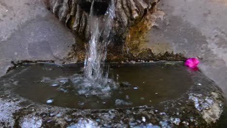 slow-motion-shot-of-fountain-inside-a-hotel-in-an-old-house-in-the-roma-neighborhood-of-mexico-city