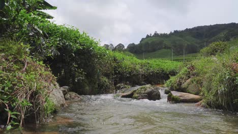 Cascada-De-La-Corriente-Del-Río-En-El-Paisaje-Del-Bosque