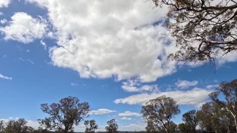 nubes moviéndose rápidamente por encima de una línea de árboles