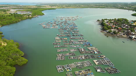 Many-industrial-lobster-farm-near-small-village-in-Lombok,-aerial-drone-view