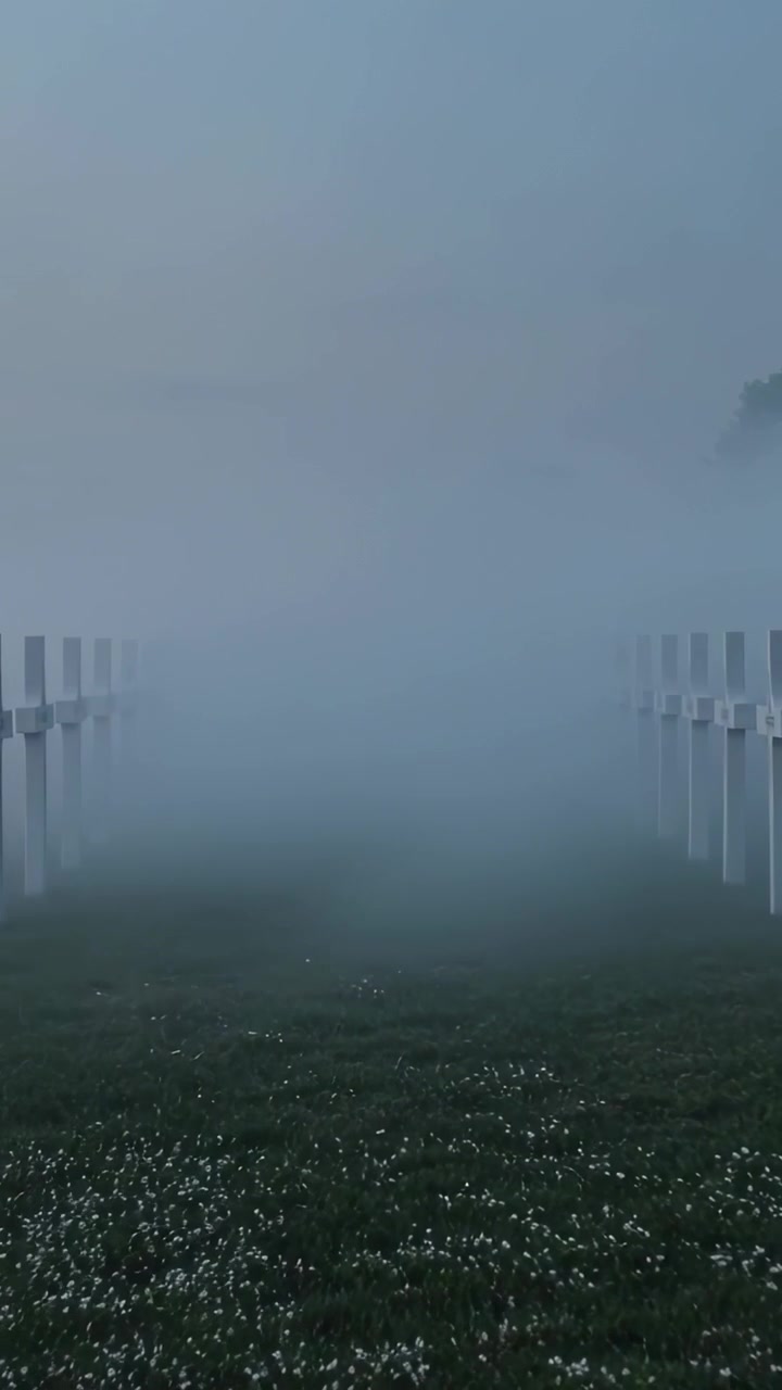 Vertikal video: Rullande dimma fyller mittfilen i gryningen, täcker vita kors och blommande gräs.