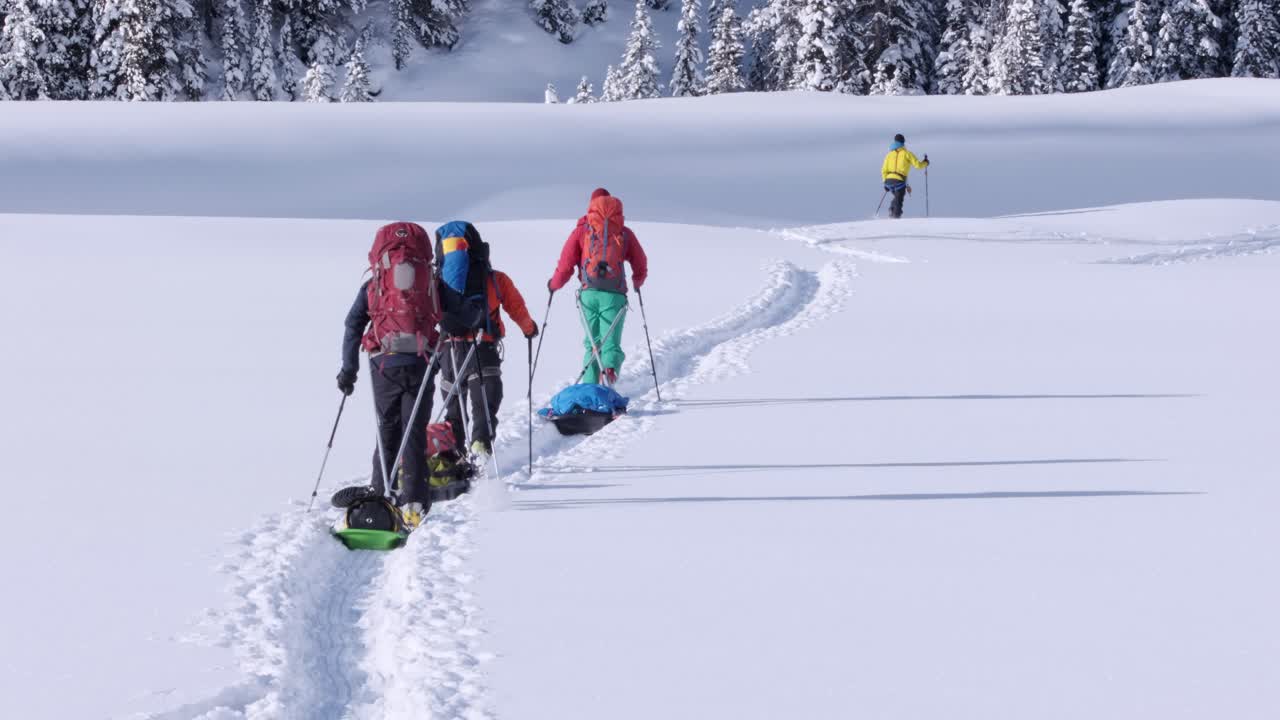 Expedition skiers pulling pulk sleds cross meadow to nearby trees