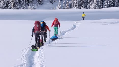 expedition skiers pulling pulk sleds cross meadow to nearby trees