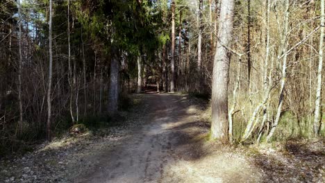 Slow-motion-POV-walking-inside-daylight-autumnal-dry-forest-earthy-pathway