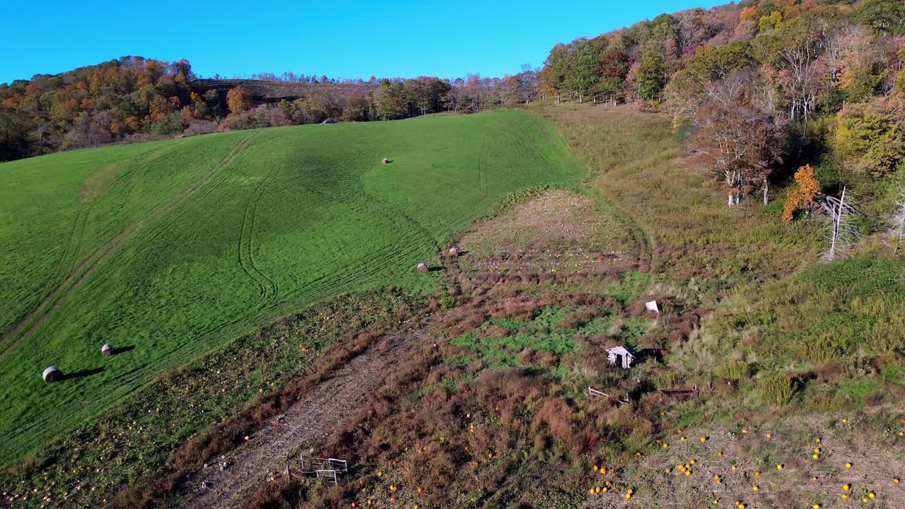 granja de calabazas en el condado de Ashe, Carolina del Norte