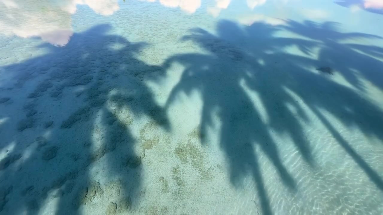 Longas e nítidas silhuetas de palmeiras estendem-se diagonalmente sobre águas rasas e claras de cor turquesa, projetando sombras fortes sobre o fundo do mar arenoso e ondulado, salpicado com recifes mais escuros, ervas marinhas e uma textura brilhante iluminada pelo sol.
