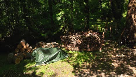 orbiting shot of multiple woodpiles as an outdoorsman prepares for the oncoming winter months