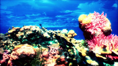 impresionante arrecife de coral submarino