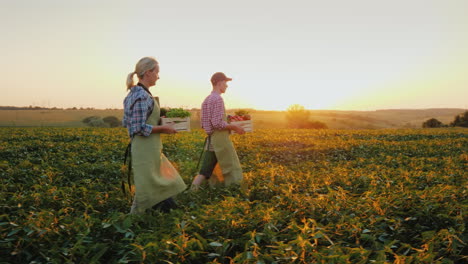 un par de jóvenes agricultores llevan cajas de verduras en el campo otoño y concepto de cosecha