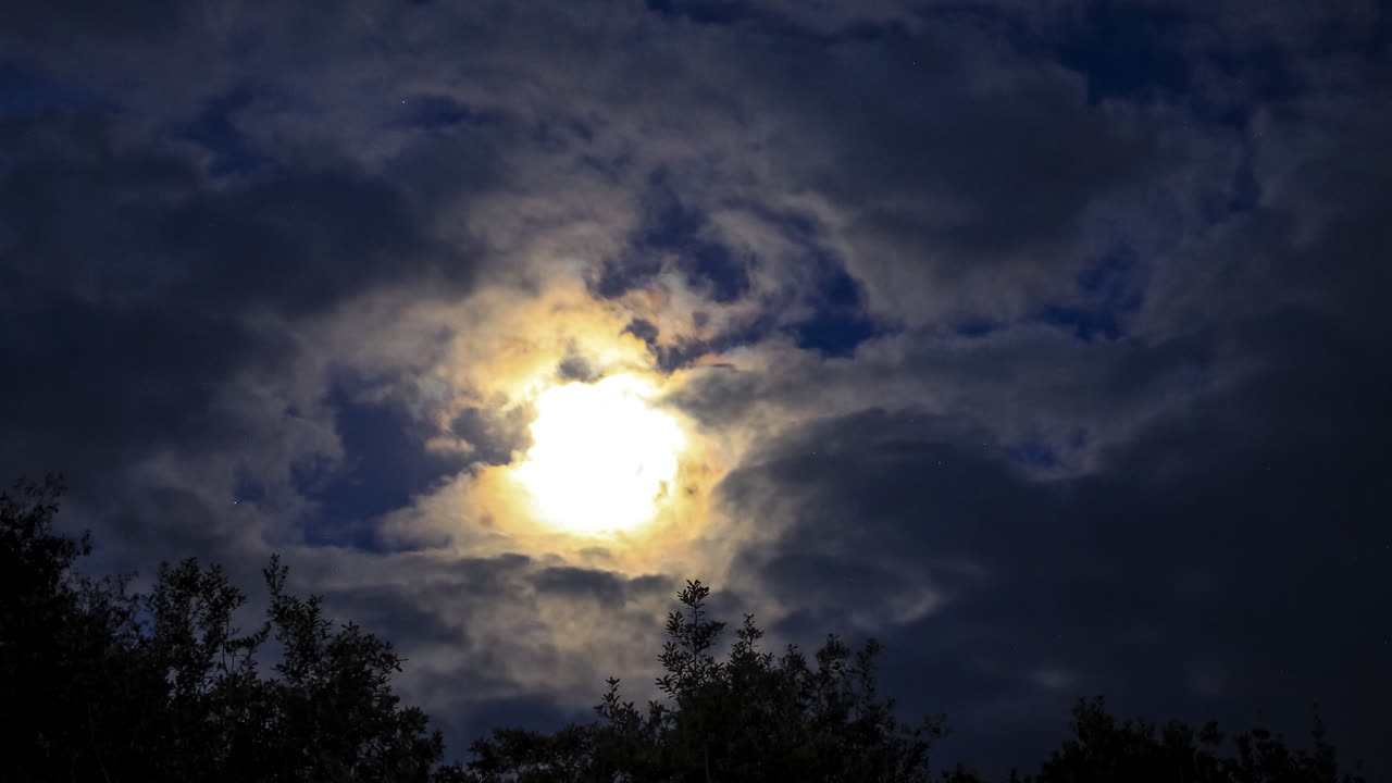 salida de la luna detrás de nubes animadas sobre una línea de árboles en nueva zelanda
