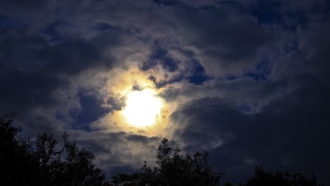 moon rise behind animated clouds above a tree line in newzealand