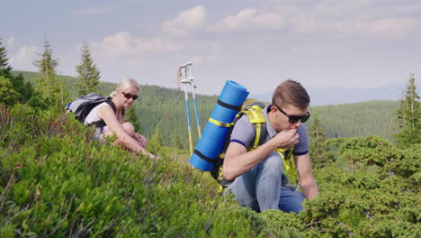 A-Person-Collects-Wild-Berries-In-The-Mountains