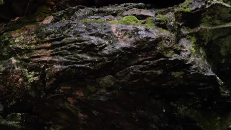 Water-drips-over-stones-along-Wissahickon-Creek