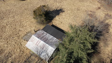 an aerial shot over a dry grass field surrounded by bare trees