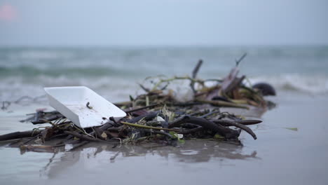 Reveal-of-a-white-foam-lunch-box-littering-and-polluting-the-beach-of-a-tropical-island-while-waves-break-in-the-background