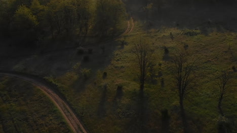 Aerial-Reveal-View-Of-Misty-Forest-Landscape-At-Sunrise