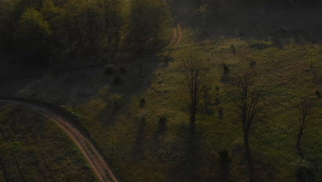 aerial reveal view of misty forest landscape at sunrise