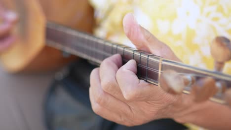 person playing a stringed instrument