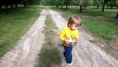 little boy walking and carrying freshly picked rainier cherries outdoors in traverse city, michigan - slow motion